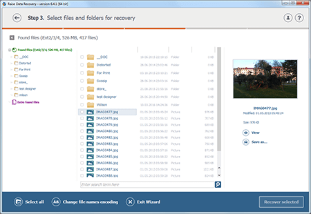 Raise Data Recovery Allgemeine Lizenz (STS)