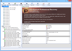 UFS Explorer Professional Recovery