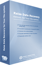 Raise Data Recovery for ReiserFS