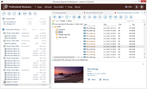 Recovery Explorer Professional